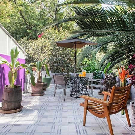 Stella Bed&Breakfast Mexico City Rum bild