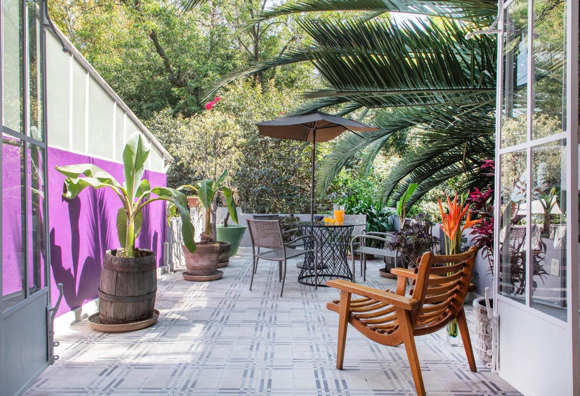 Stella Bed&Breakfast Mexico City Rum bild